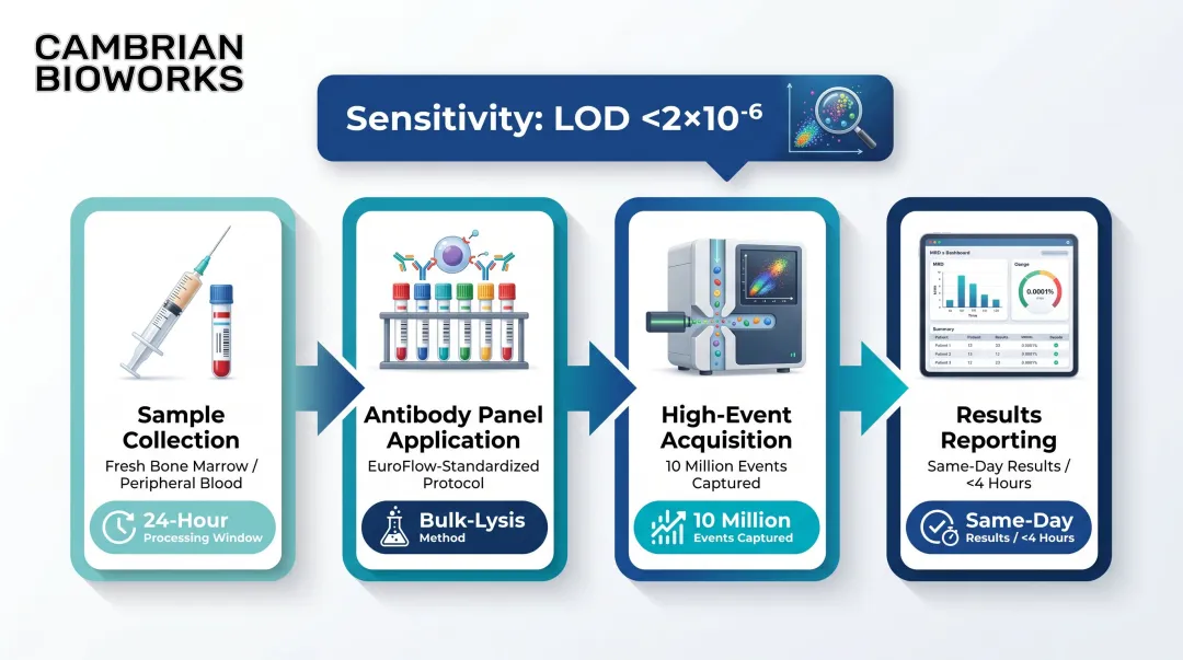 Next-generation flow cytometry MRD workflow steps and practical requirements overview