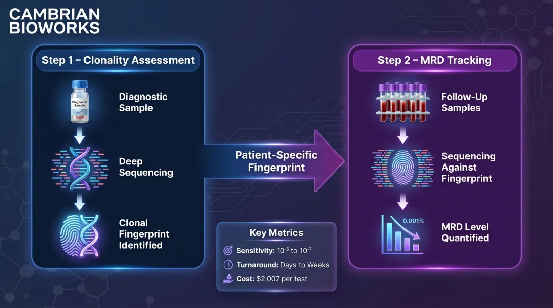 NGS clonoSEQ two-step MRD workflow from baseline clonality assessment to tracking