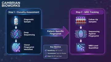 NGS clonoSEQ two-step MRD workflow from baseline clonality assessment to tracking