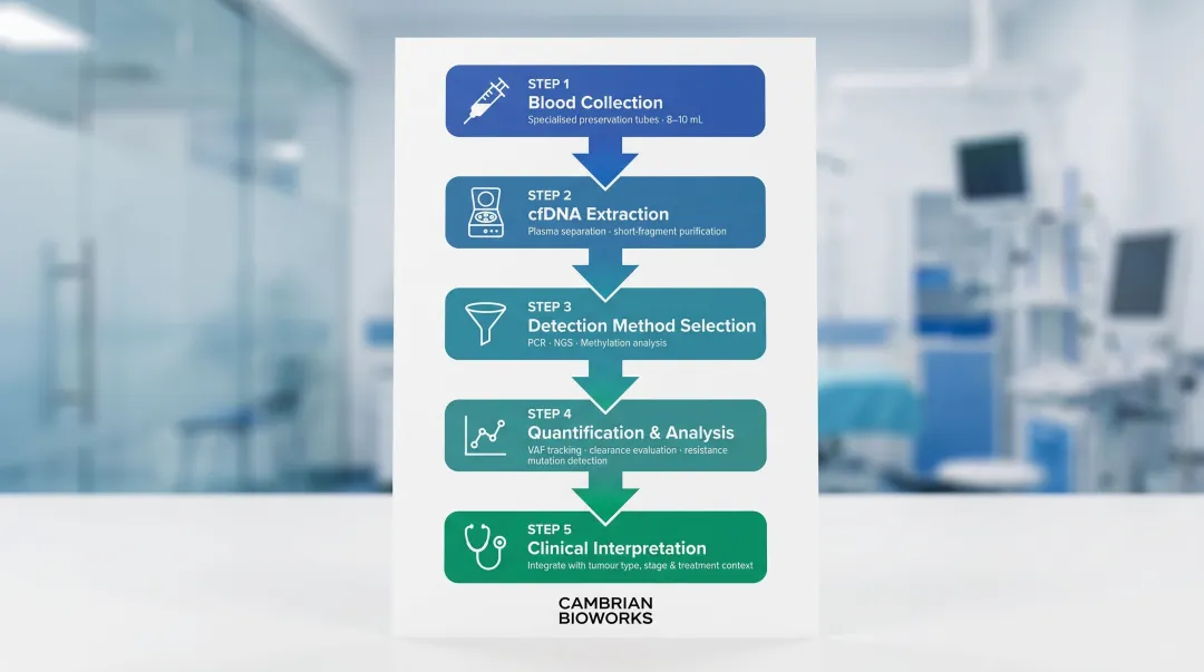 5-step ctDNA liquid biopsy workflow from blood collection to clinical decision