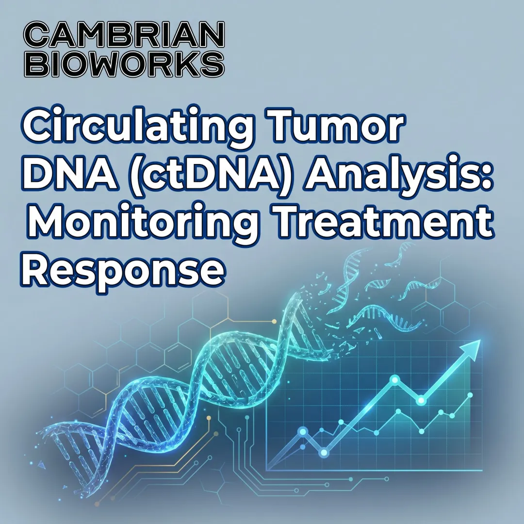Circulating Tumor DNA (ctDNA) Analysis: Monitoring Treatment Response