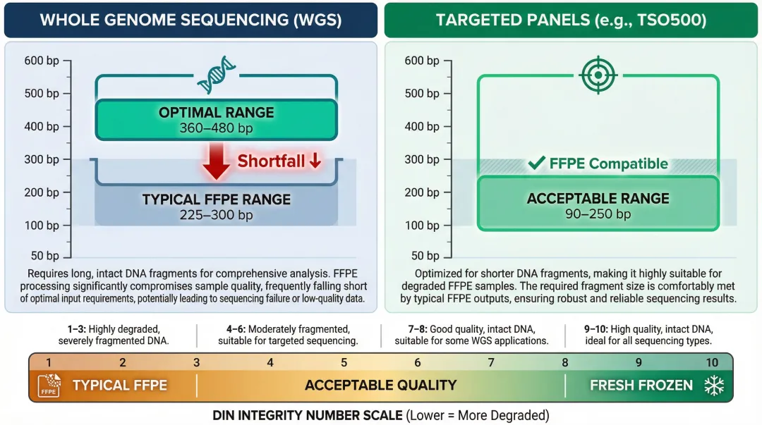 NGS assay fragment size and DIN score requirements comparison for FFPE versus fresh frozen DNA