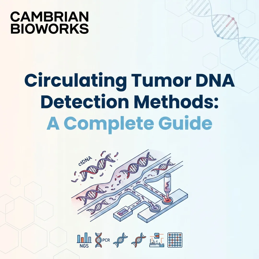Circulating Tumor DNA Detection Methods: A Complete Guide