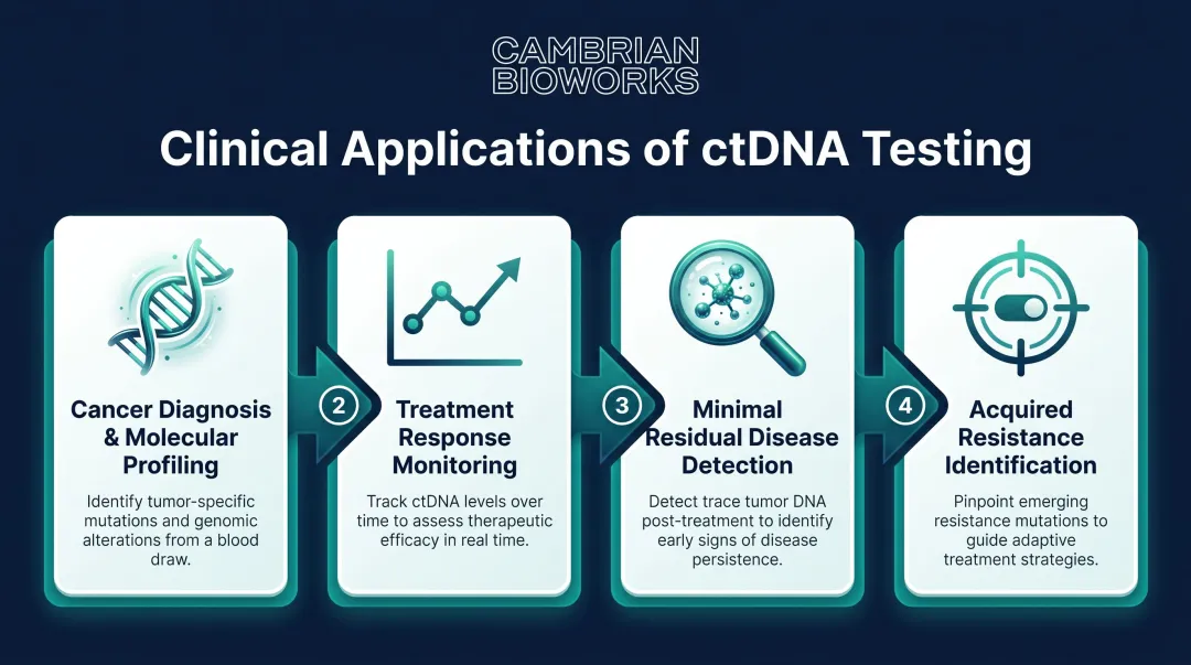 Four clinical applications of ctDNA liquid biopsy testing in oncology