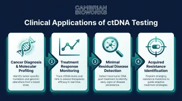 Four clinical applications of ctDNA liquid biopsy testing in oncology