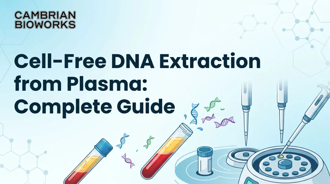Cell-Free DNA Extraction from Plasma: Complete Guide