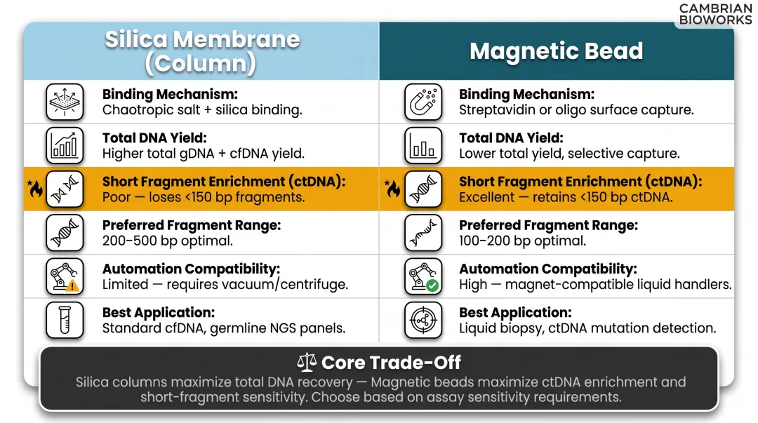 Silica membrane column versus magnetic bead cfDNA extraction method comparison infographic