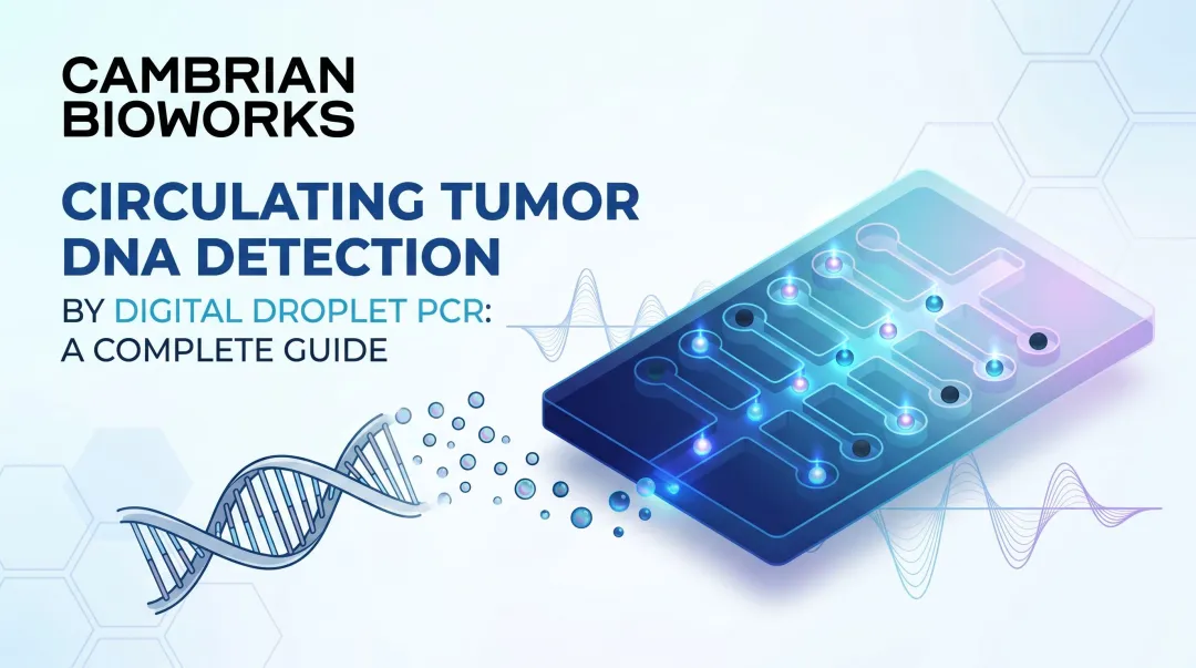 Circulating Tumor DNA Detection by Digital Droplet PCR: A Complete Guide