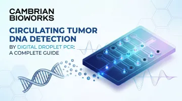 Circulating Tumor DNA Detection by Digital Droplet PCR: A Complete Guide