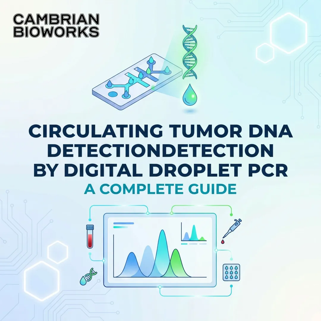 Circulating Tumor DNA Detection by Digital Droplet PCR: A Complete Guide