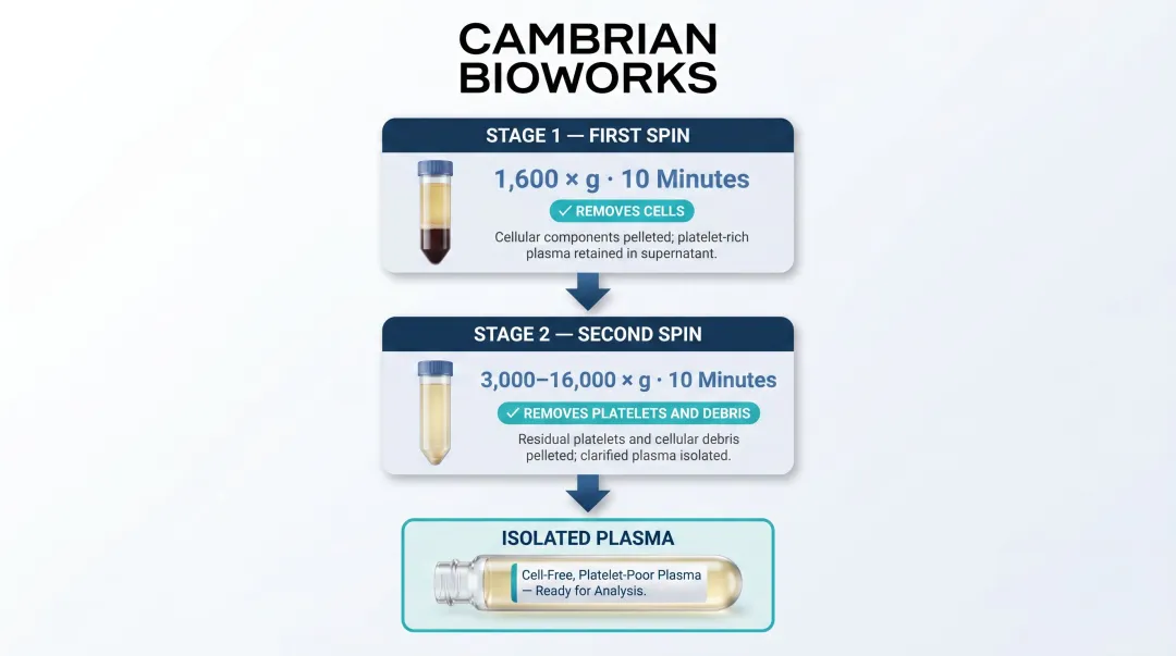 Two-step blood plasma centrifugation protocol for cfDNA isolation process