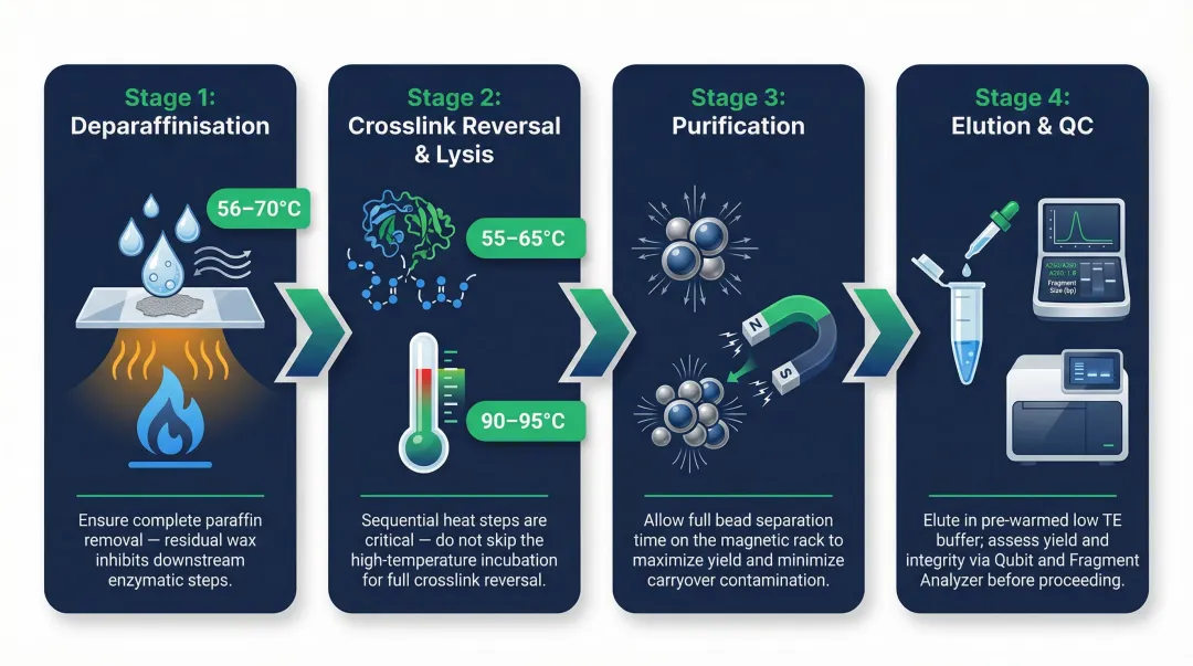 Step-by-step FFPE DNA RNA extraction workflow from deparaffinisation to elution