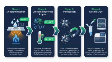 Step-by-step FFPE DNA RNA extraction workflow from deparaffinisation to elution