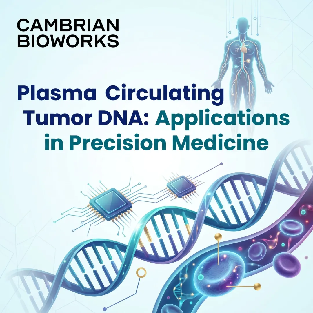 Plasma Circulating Tumor DNA: Applications in Precision Medicine