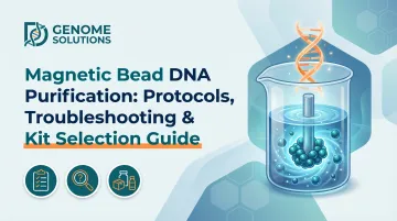 Magnetic Bead DNA Purification: Protocols, Troubleshooting &amp; Kit Selection Guide