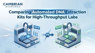 Comparing Automated DNA Extraction Kits for High-Throughput Labs