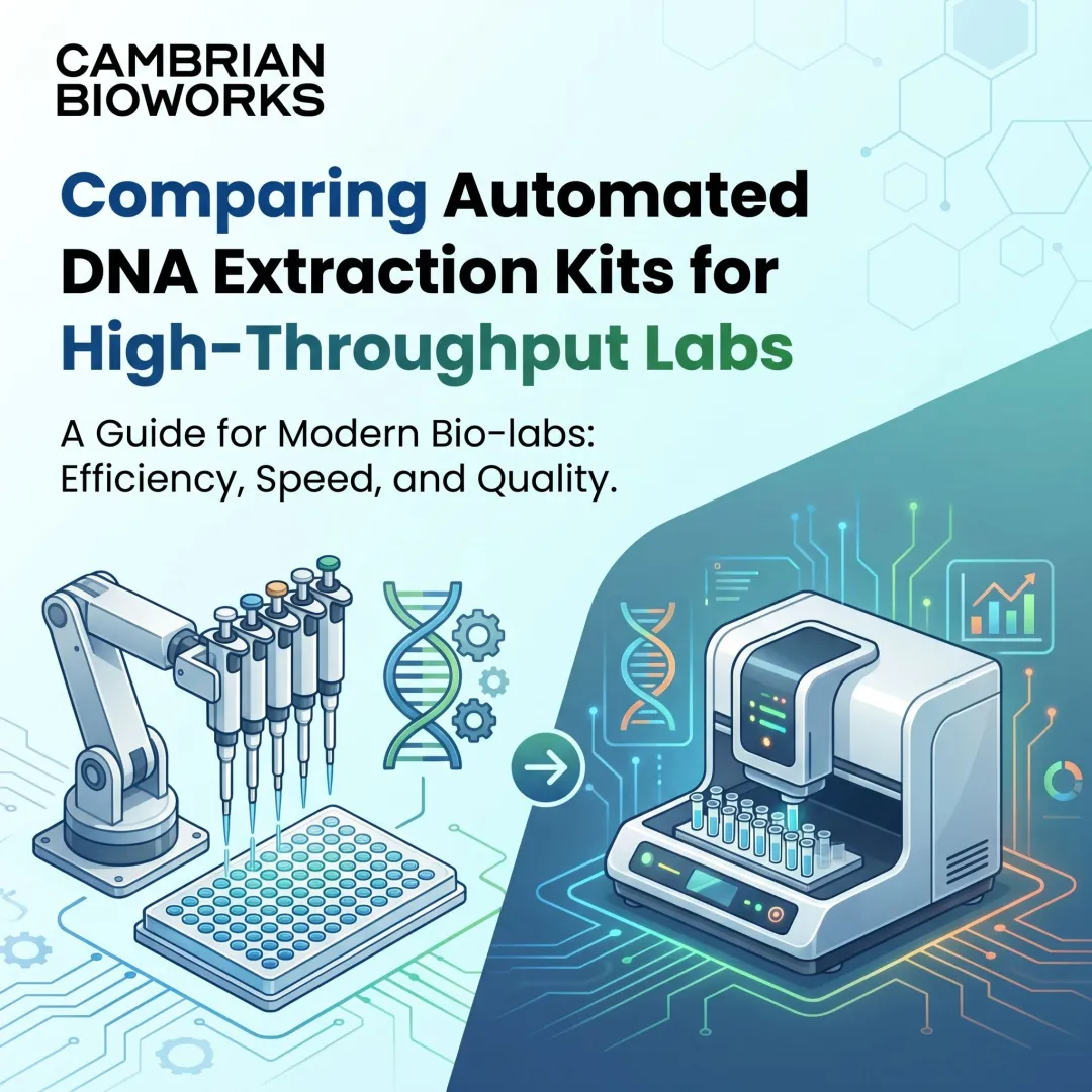 Comparing Automated DNA Extraction Kits for High-Throughput Labs
