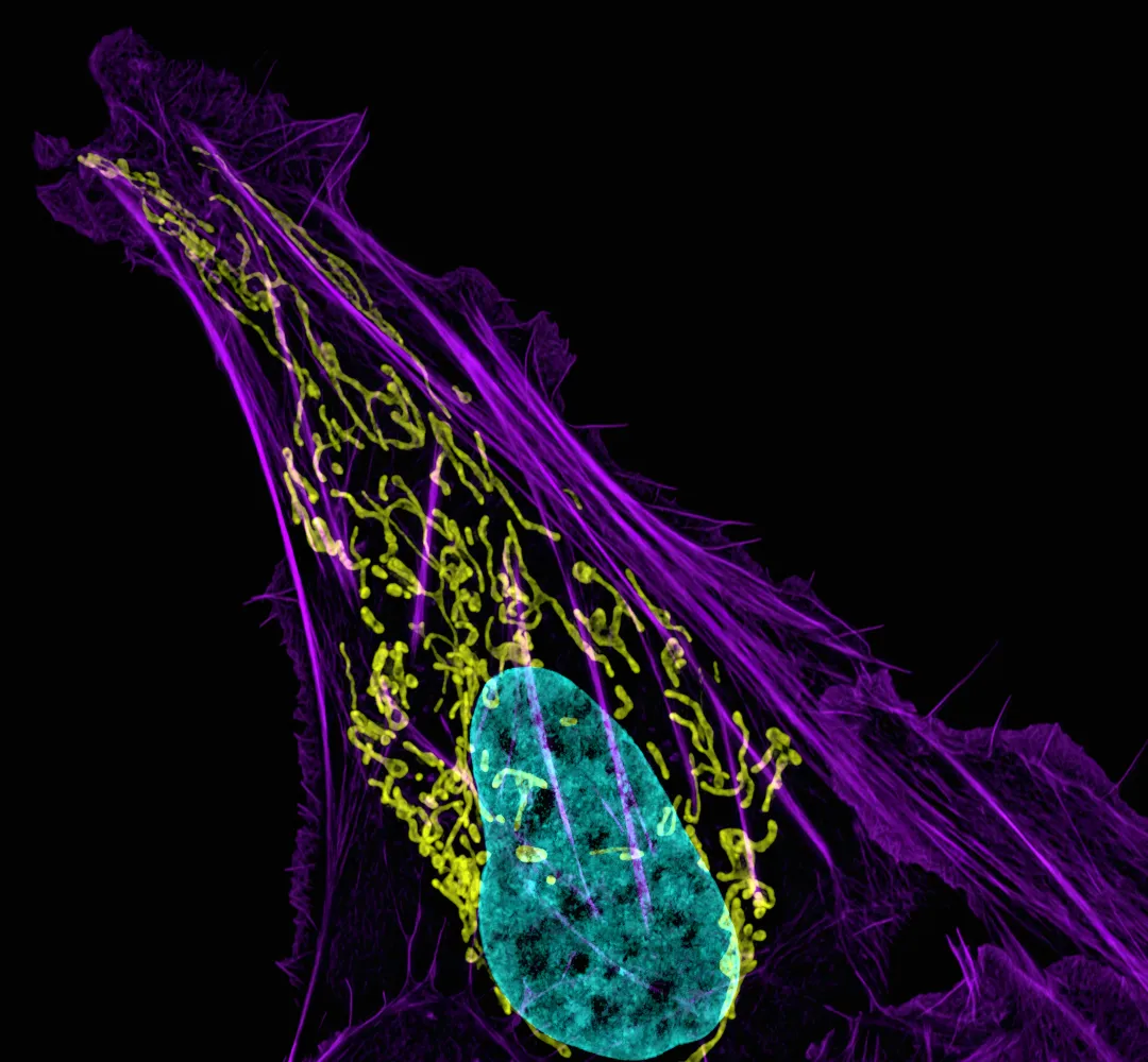 Genomics & Sequencing