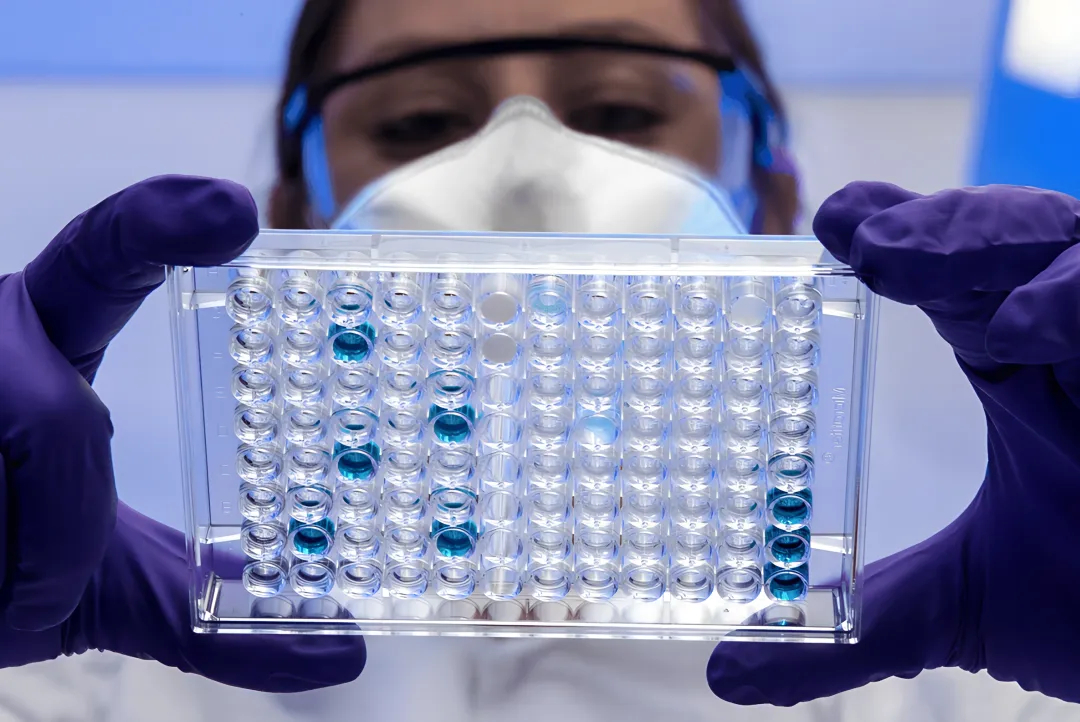 Infectious Disease Testing