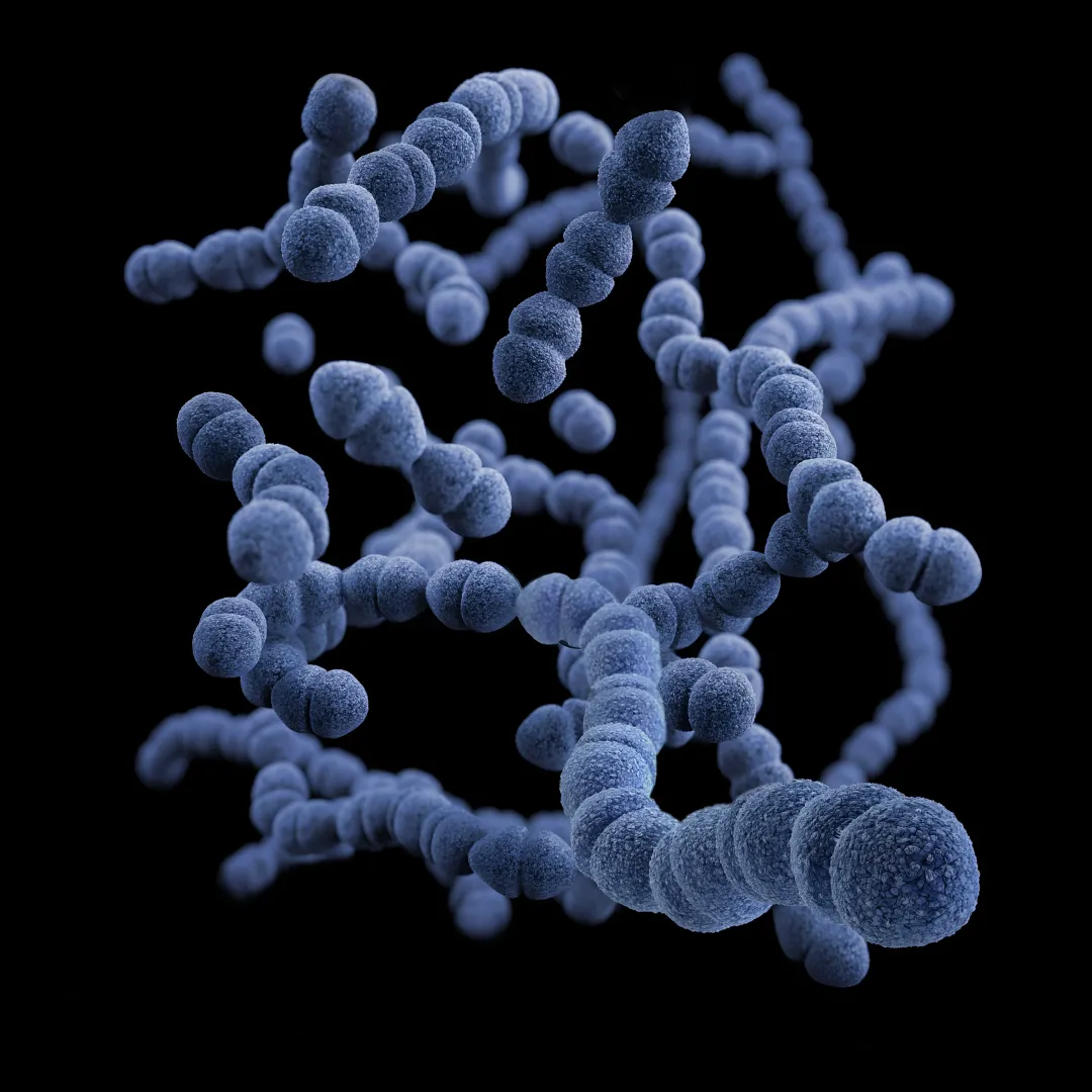 Cancer Research and Diagnostics