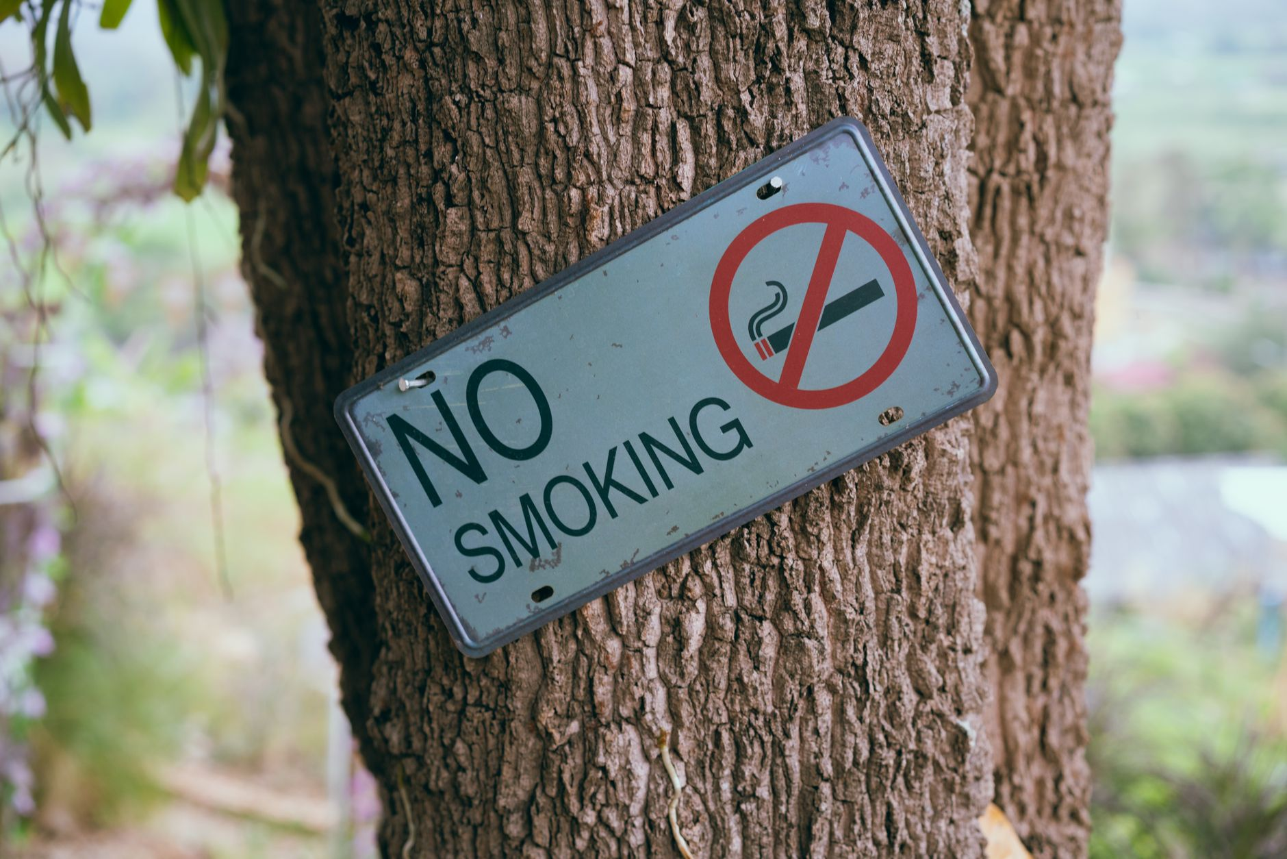 Wholesale Tobacco Free Campus Signs
