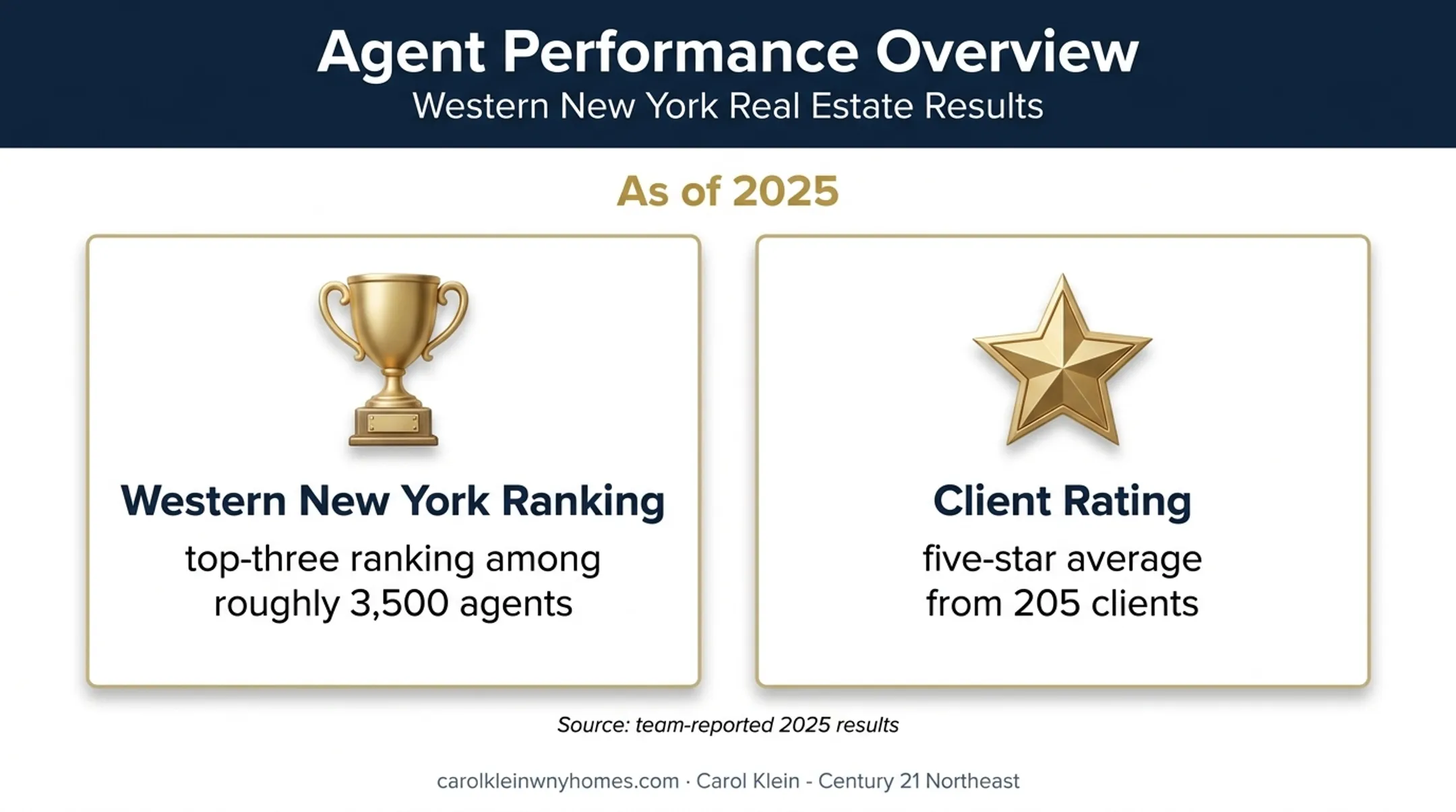 Carol Klein Century 21 Northeast performance statistics infographic