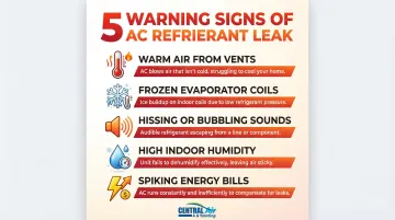 Infographic