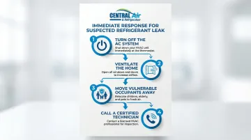 Infographic