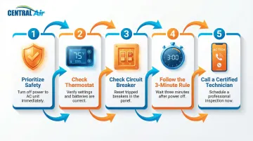 Infographic