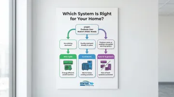 Infographic