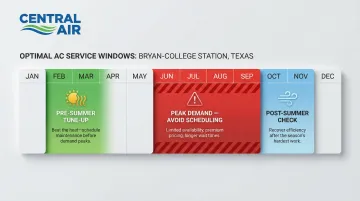 Infographic