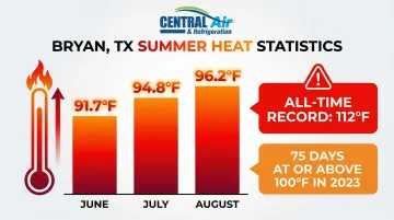 Infographic