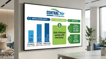 Infographic