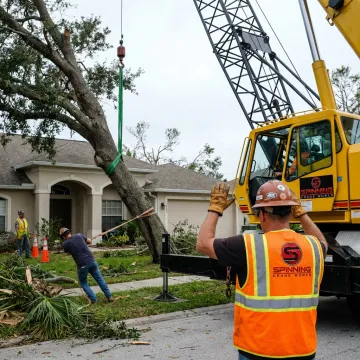 Crane operator planning safe storm tree removal