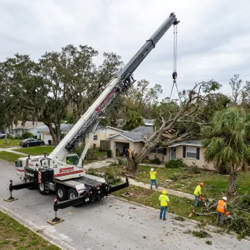 Crane lifting a fallen tree from a Florida home