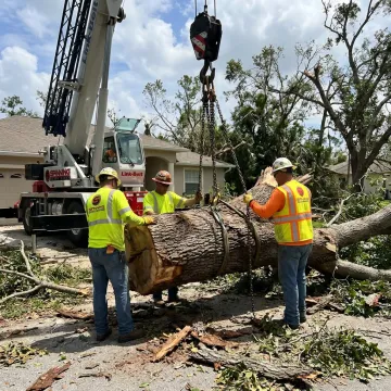 Crane operator removing tree sections safely