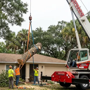 Crane operator lifting tree sections safely
