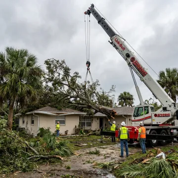 Crane-assisted tree removal in Florida