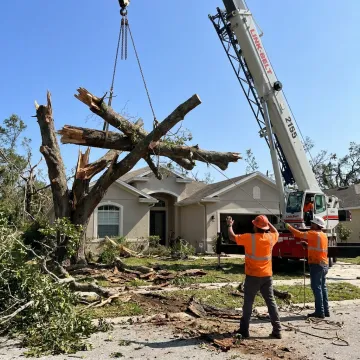 Crane-assisted tree removal in Orlando yard
