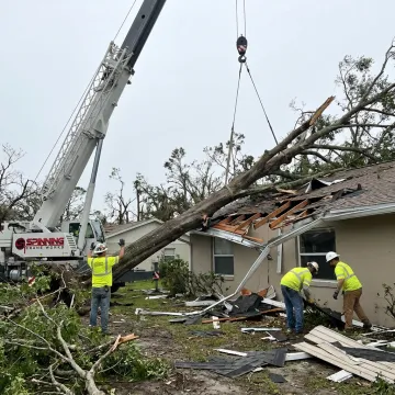 Crane removing a hurricane-damaged fallen tree in Florida