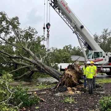 Crane crew planning storm tree removal