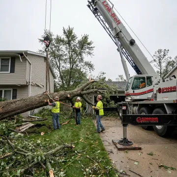 Crane lifting a fallen tree from a property