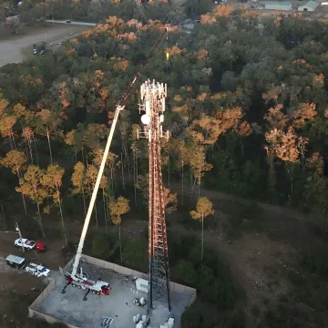 Crane lifting a fallen tree from a property