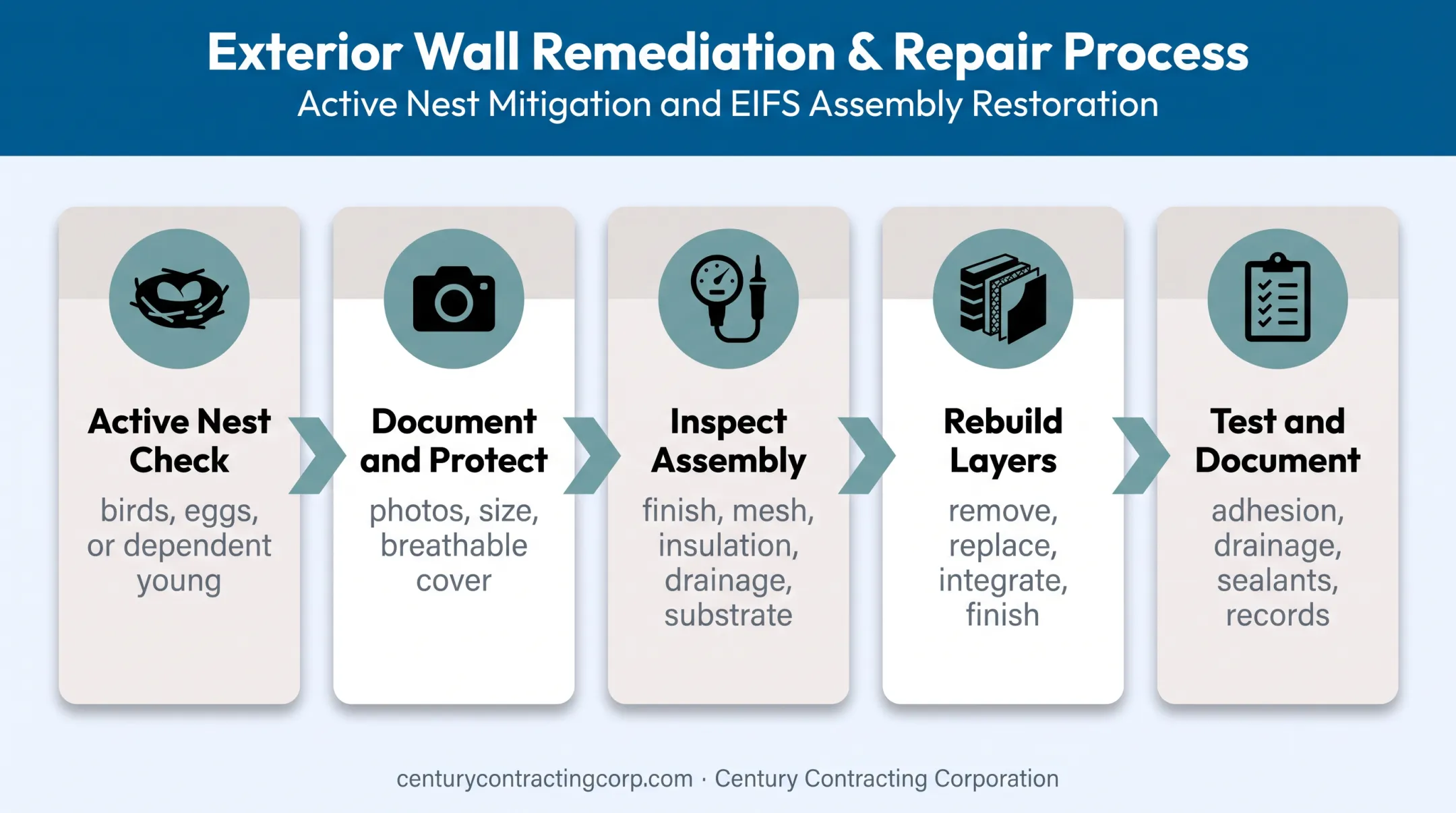Five-step EIFS woodpecker damage response and repair workflow