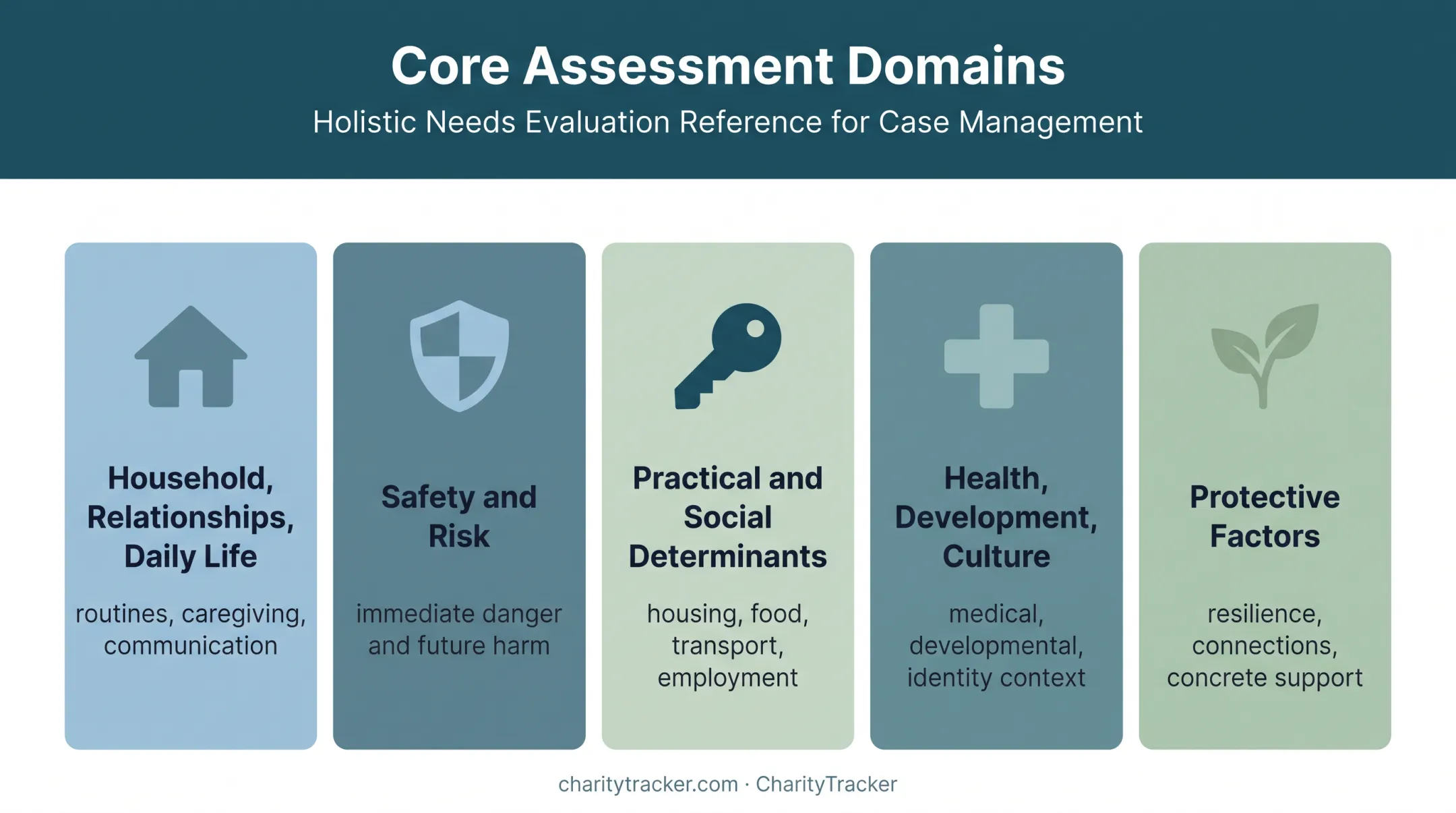 Five core family assessment domains from household needs to protective factors