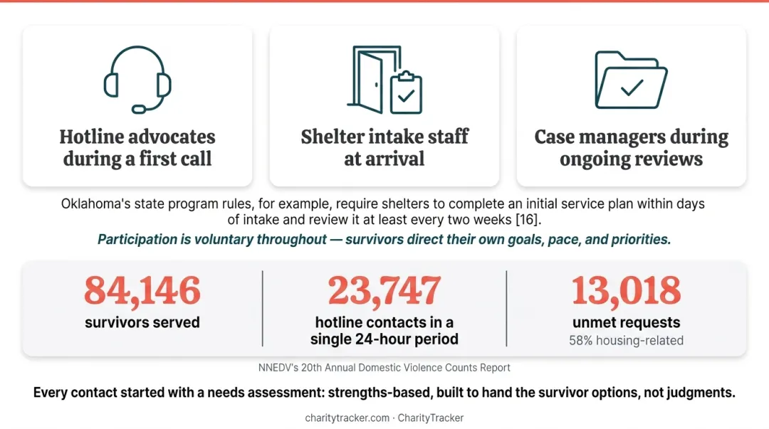 National domestic violence census statistics on survivors served and unmet needs