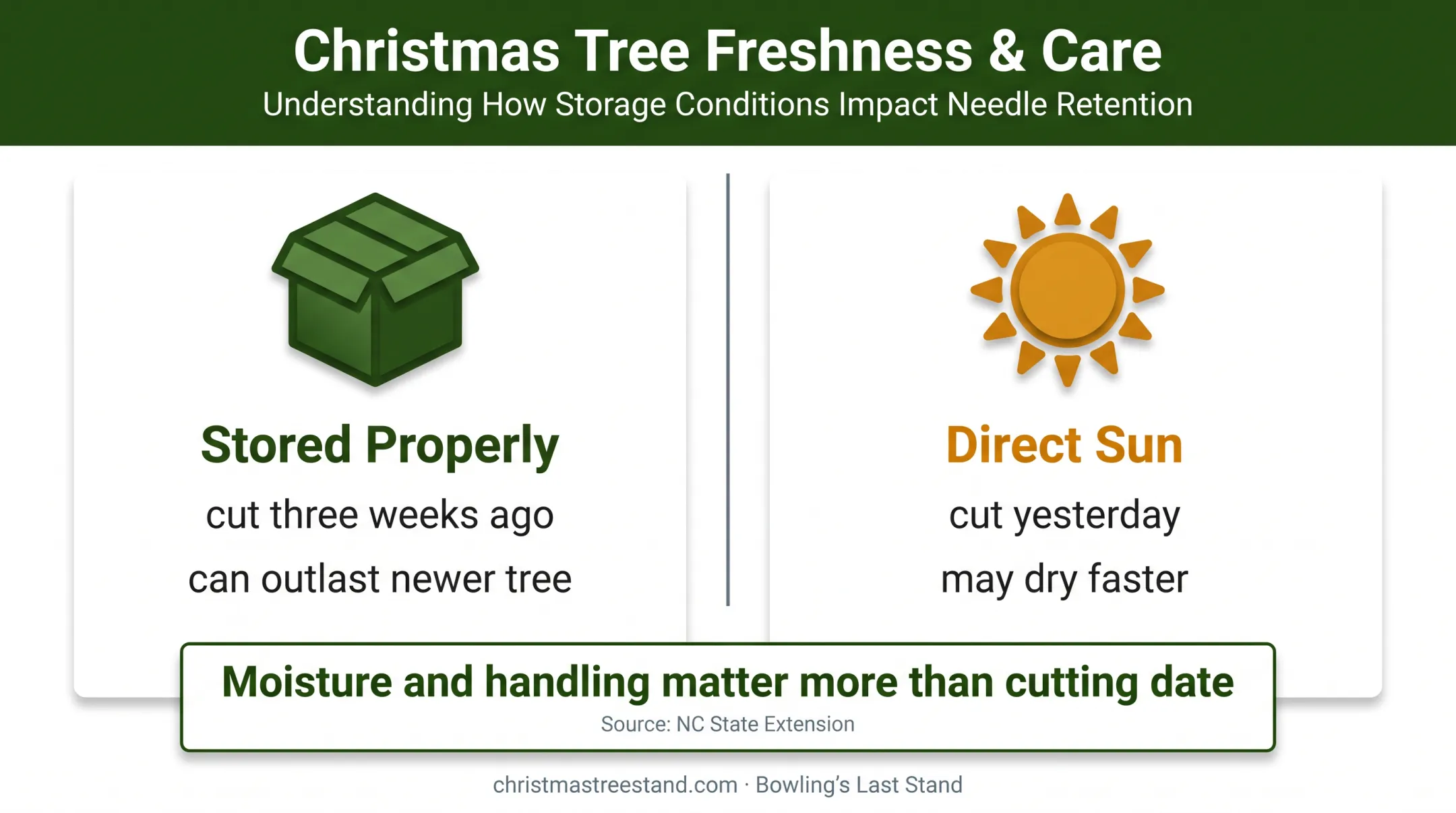 Real Christmas tree freshness comparison based on storage and handling