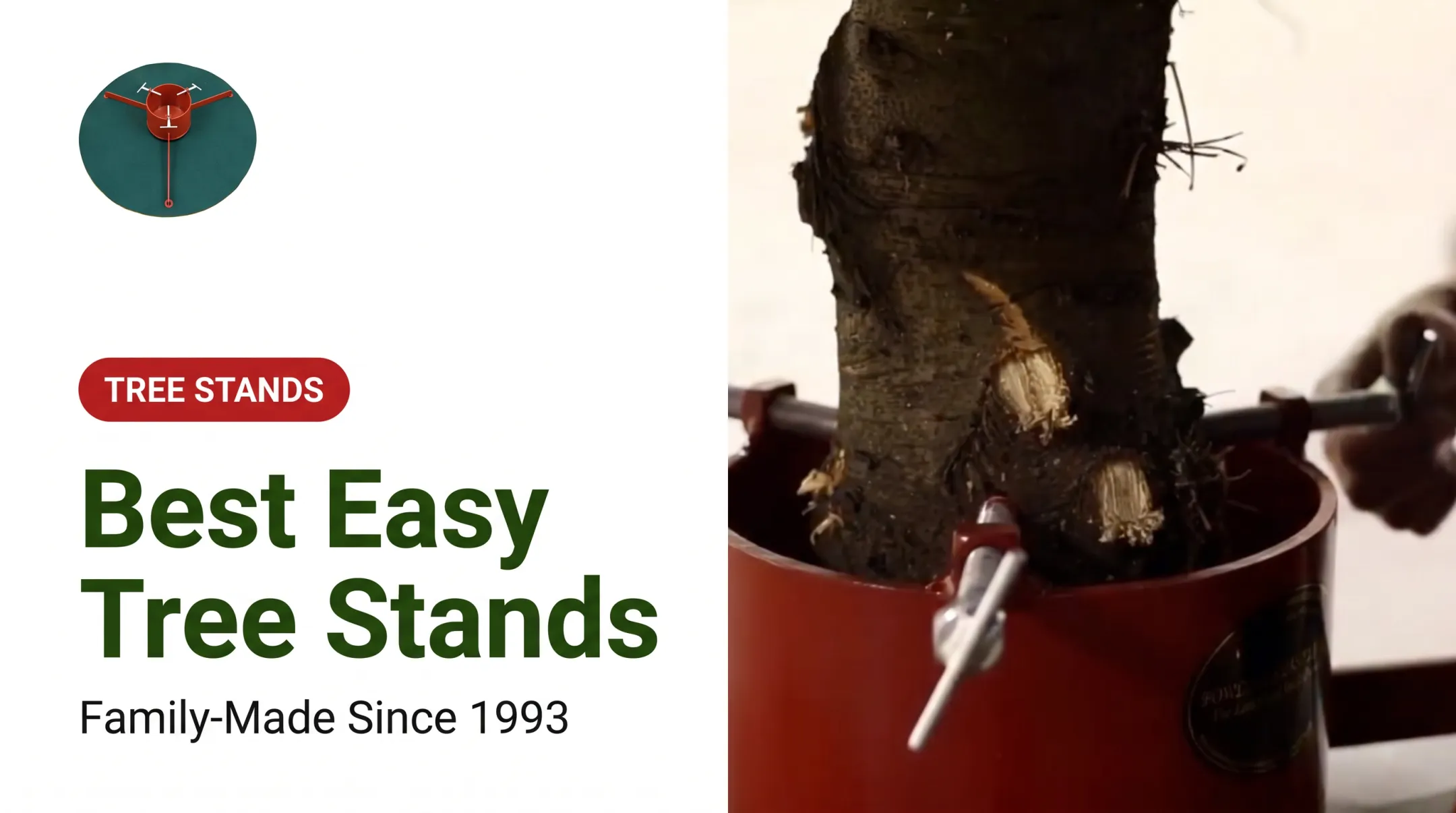 Best Easy Tree Stands