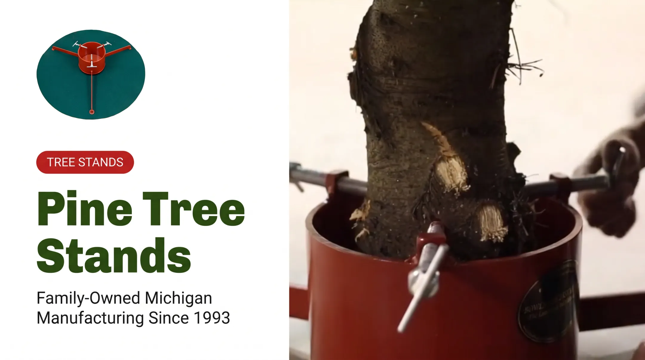 Pine Tree Stands