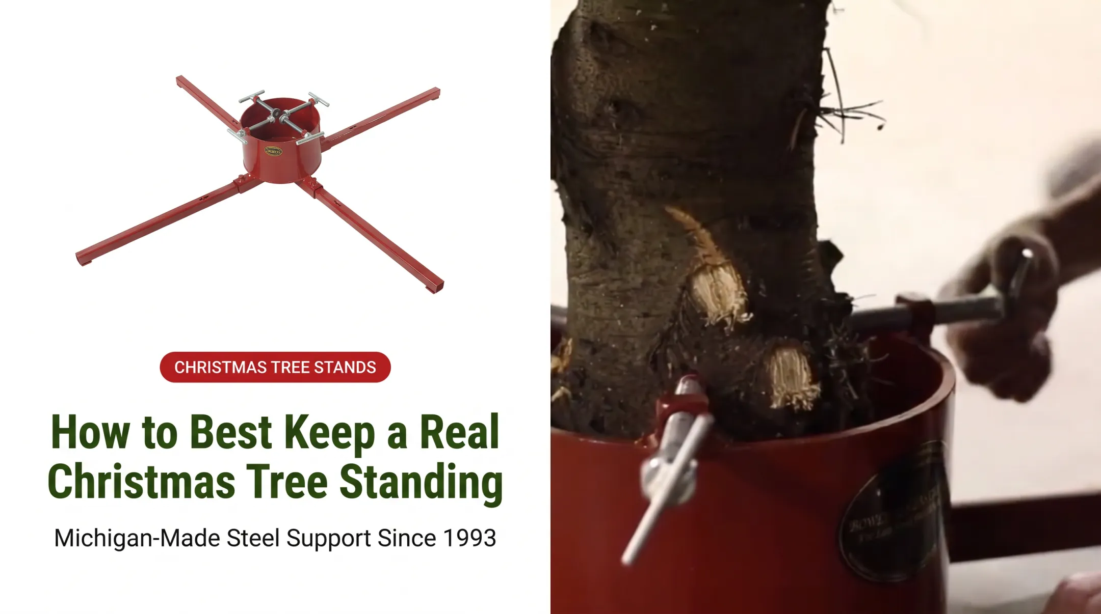 How to Best Keep a Real Christmas Tree Standing